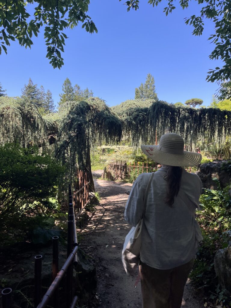 Consultation naturopathie